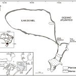 ilha do mel —- 0073-2877-hoehnea-42-03-0497-gf01