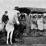 curitiba bonde burro