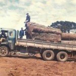 sao jose dos pinhais – 1960