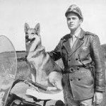 bl vigilante rodoviário