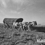 carroça tipica colonos cpia