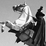 zorro  e cavalo