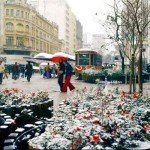 curitiba neve floreiras xv bonde 1975 jws