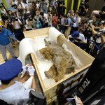 JAPAN-MAMMOTH-ANIMAL-EXHIBITION