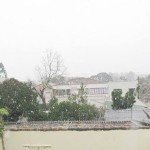 neve em araucaria – marcel arantes
