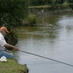 mazza pescando – portal wille jws