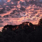 amanhecer 8 1 2014 a