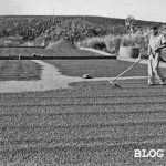 café apucarana cafe patio rodo anos 1950 blog jws wt  (1)