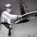 café cafeicultor paraná