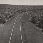 café trilho trem paraná norte