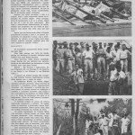 Cruzeiro_1963 (1)- pg 3  jpeg