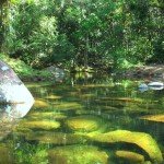 pr paranaguá Rio Colônia Pereira de Gustavo Ramos Chagas