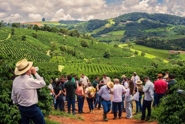 Breve história das cooperativas brasileiras