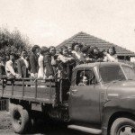 assaí caminhã japoneses pr