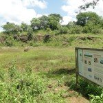 cratera centro vista alegre parana pr