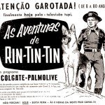 rin tin tin