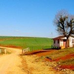 teixeira soares estrada – atual pr