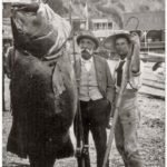 mundial – A world’s record 384-pound black sea bass caught by Franklin Schenck of Brooklyn with rod and reel off Catalina Island, California, on August 17, 1900. jws.com.br