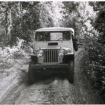 jipe região paranavaí anos 1950
