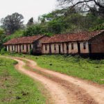 campo fazenda ciclo café sp