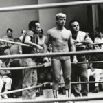 telecatch_ted-boy-marino-luta-_1-696×458
