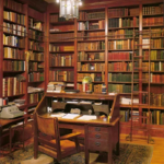 biblioteca reduzida img