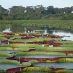 B0F46E22-6E82-4B5F-B4EF-2F27F60336D6